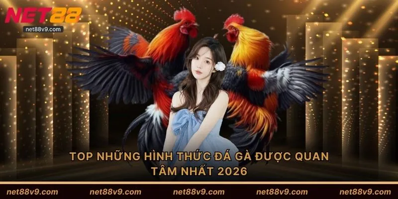 TOP những hình thức đá gà được quan tâm nhất 2026