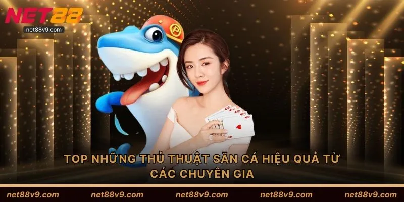 TOP những thủ thuật săn cá hiệu quả từ các chuyên gia